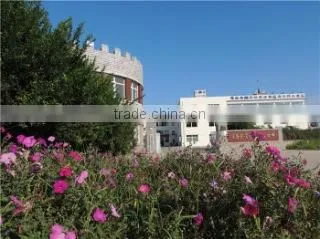 Qingdao Youqing Aquatics Co., Ltd. company overview - view 1