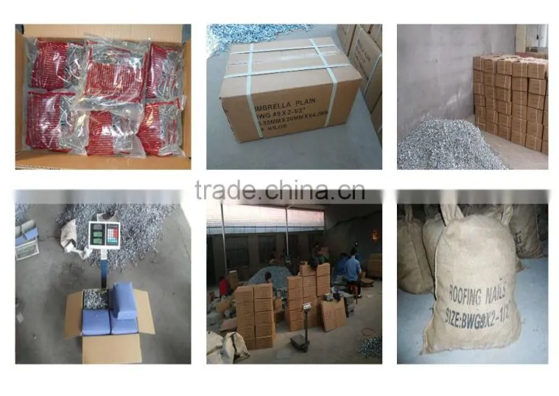 china umbrellas roofing nails/twisted shank umbrella nails/rubber washer roofing nails