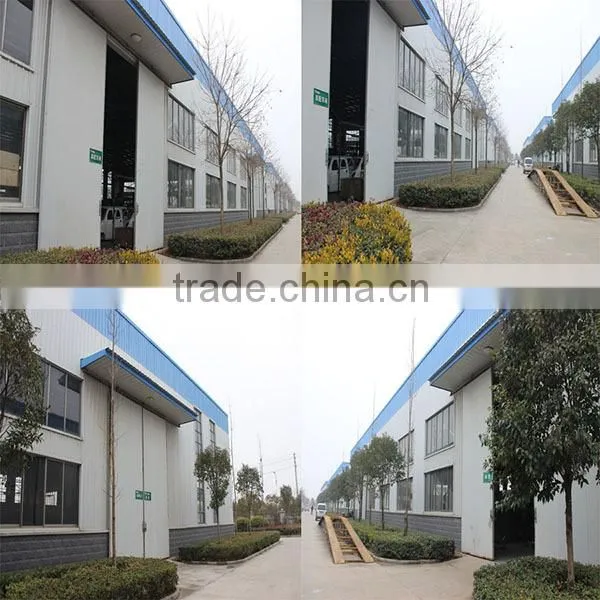Chinese new design Cheap and new design using in park or city sightseeing car for sale