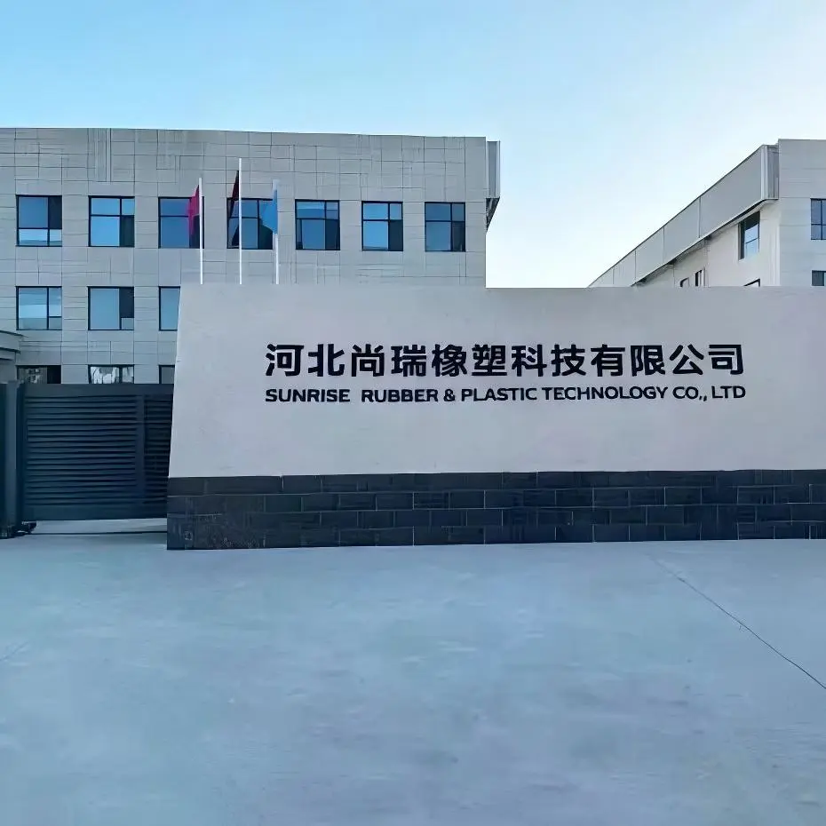 Hebei Sunrise Rubber And Plastic Technology Co., Ltd. company overview - view 1