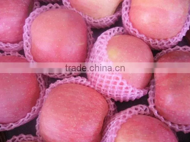 fresh Fuji apple supplier