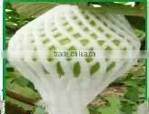 foam net fruit package for Hami melon