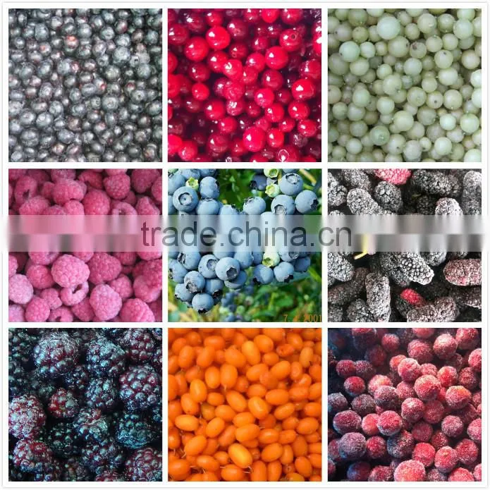 5% Broken Extra Quality IQF Raspberry Whole