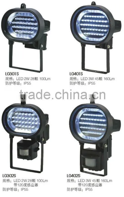 2W LED Floodlight