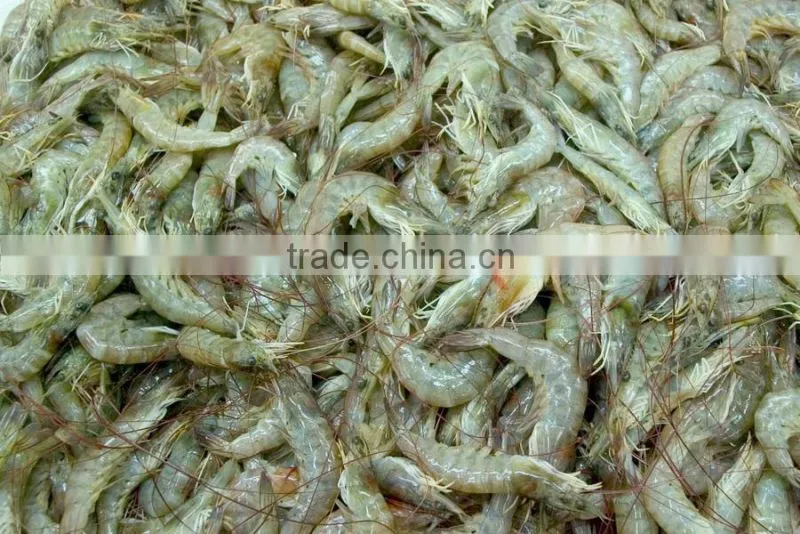 JY-30 Best Quality Shrimp Grading Machine