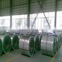 Shandong Huaxiang Import & Export Co., Ltd. company overview - view 2