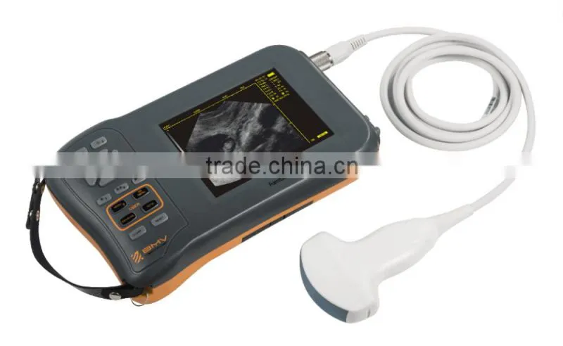 Vet Ultrasound/Veterinary Products/ Diagnostic Equipment for Animal L60