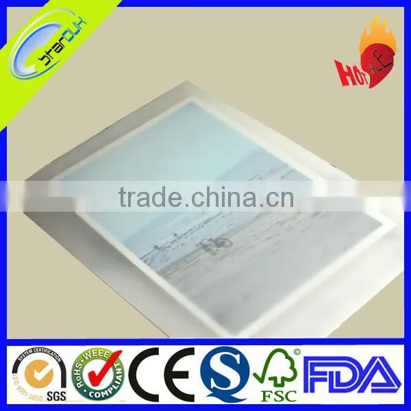 customized clear vellum envelope/vellum gift envelope