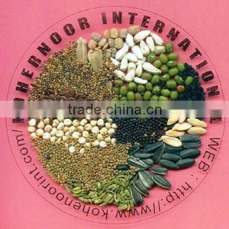 Pakistan Whole Brown Dill Cumin Seed