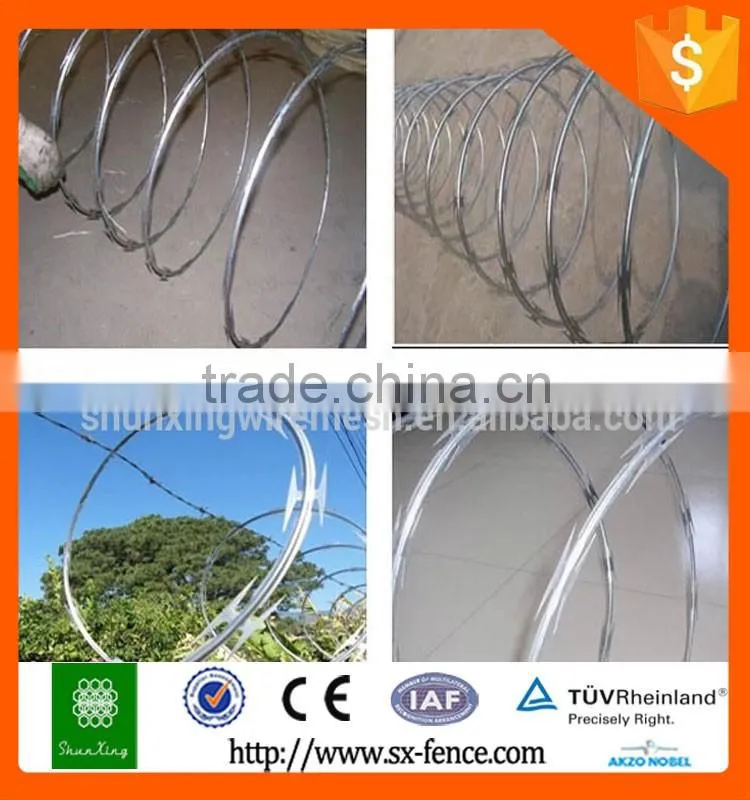 Razor Wire Prison Fence/Razor Barbed Wire Fence sale in High Quality