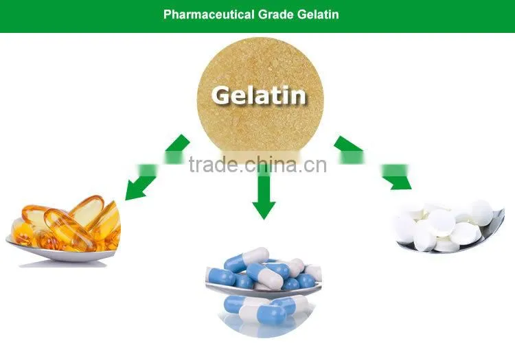 Fine liquid capsules gelatin/Pharmaceutical gelatin capsules