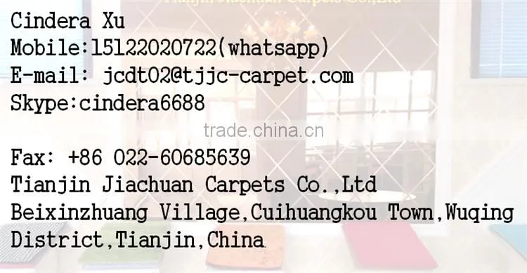 polyester chenille microfiber cheap indoor mat