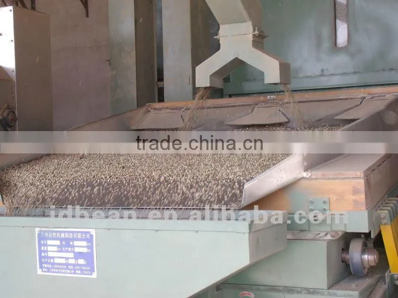 yelllow millet in husk