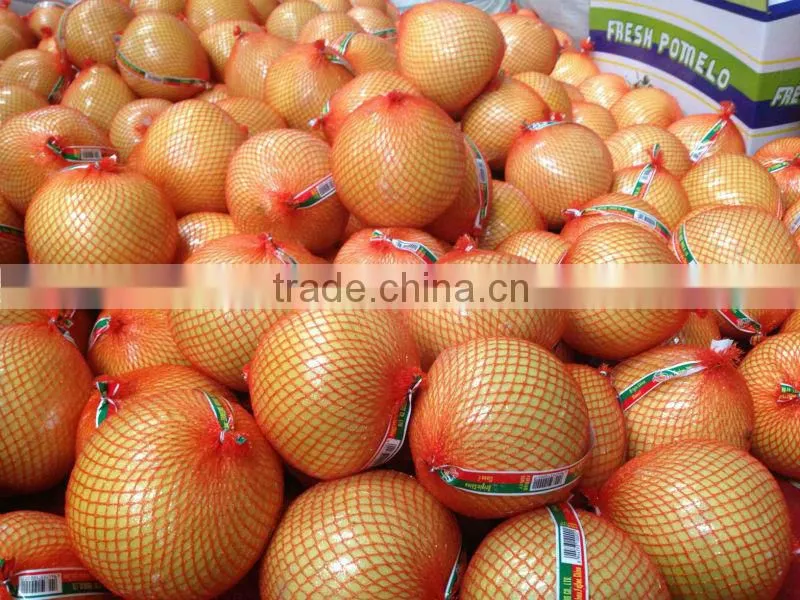 Fresh Guanxi honey pomelo