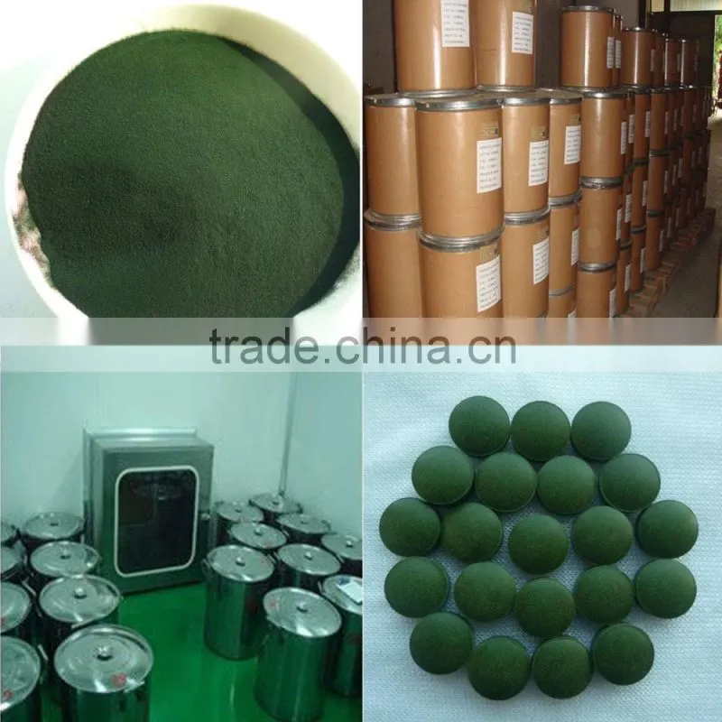 High Quality Spirulina Powder for Sale