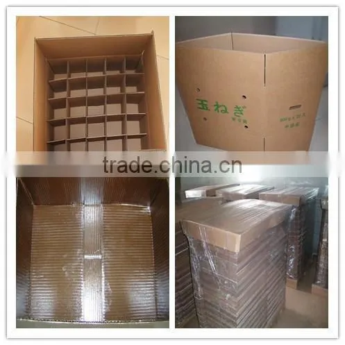 Manufacture Box for Fresh Cabbage