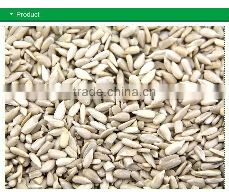 chinese bakery sunflower seeds kernel hot sale