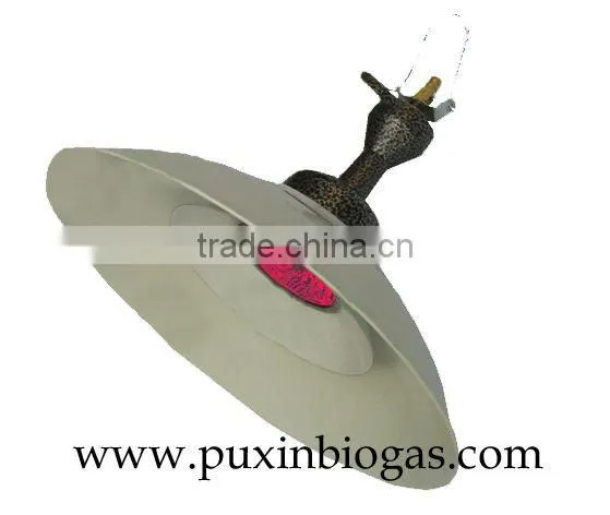 Biogas Related Product