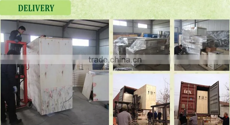 Puffed Artificial Rice Extrusion Machine