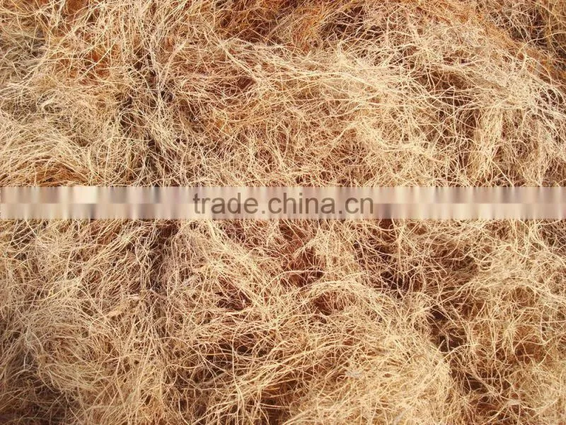 fiber extractor machine made in China to process coconut husks and oil palm empty fruit bunches
