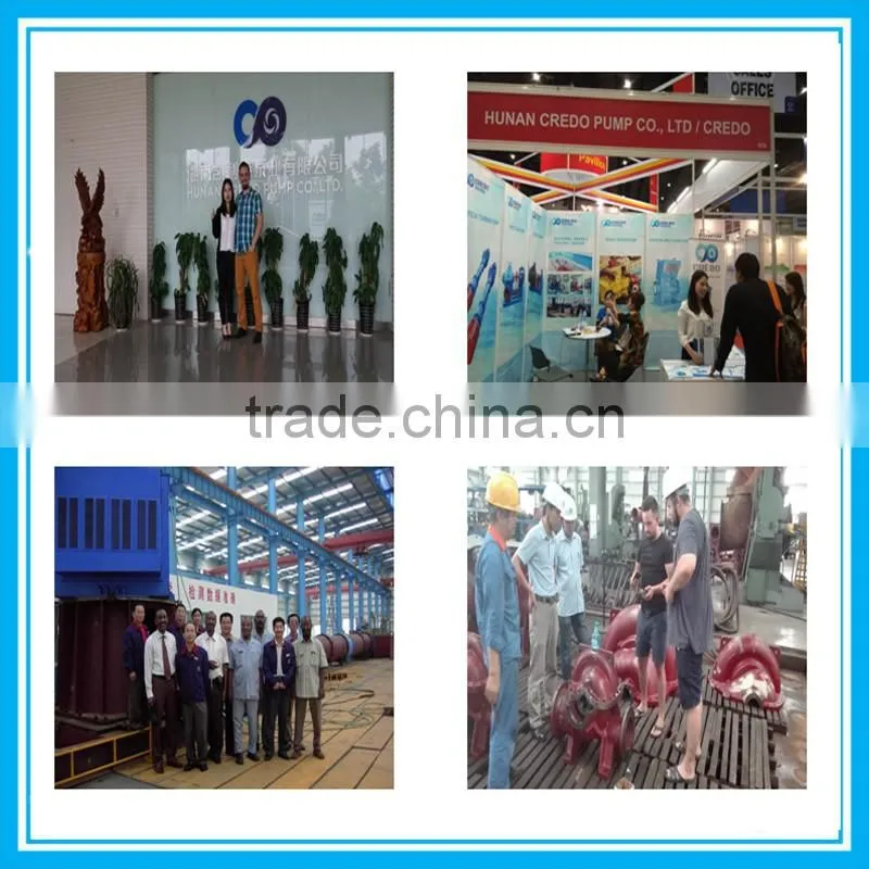 double suction pump with 4 poles electric motor
