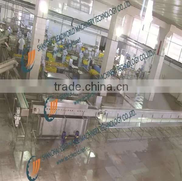 professional and factory price orange canned production line