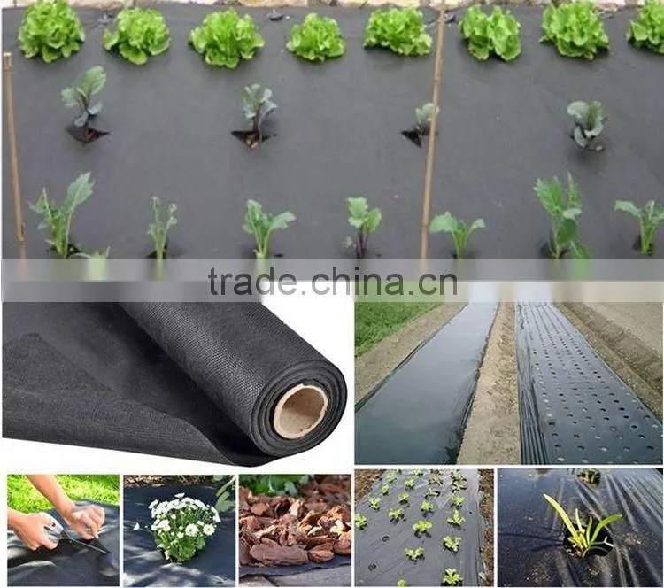 New Product 2017 Pp Spunbond Non Wovens Agriculture Protect