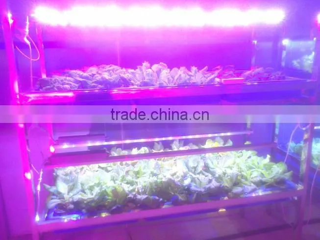 28*3w diy waterproof led grow light strip in GEHL factory