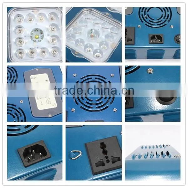 supernova led grow lights 160x3w for veg bloom