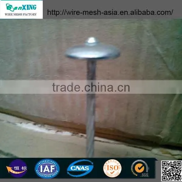 Q195 umbrella head twist shank roofing nails