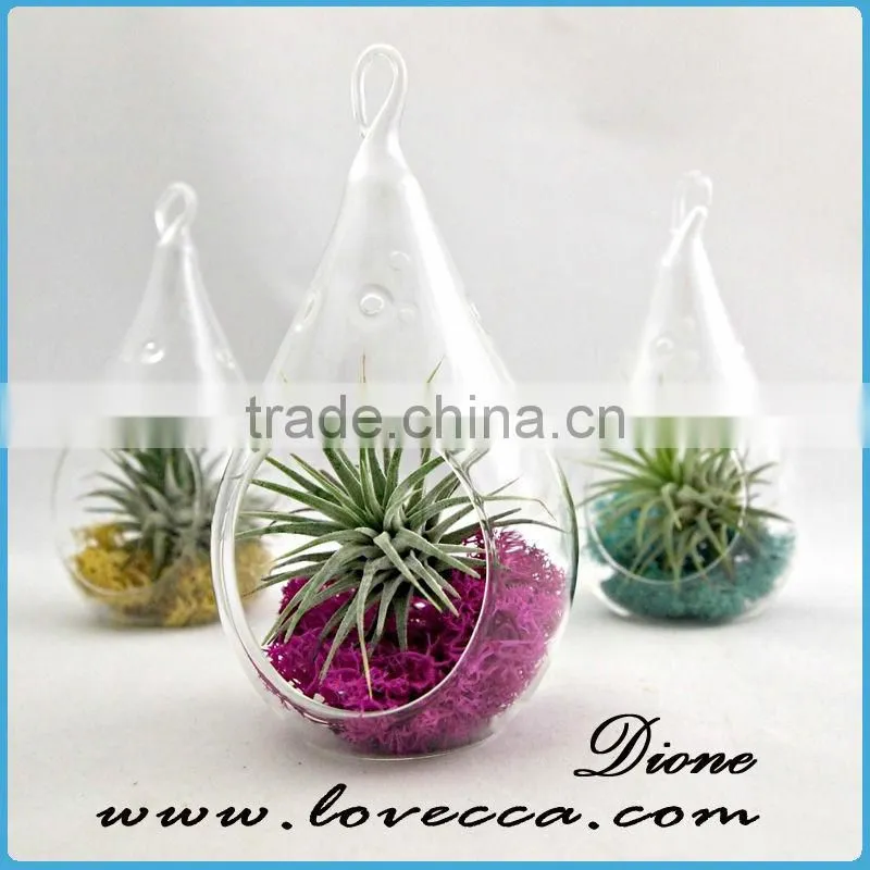 Wholesale Clear glass terrarium globe ,glass plants , hanging glass terrarium ornament