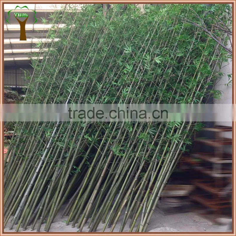Artificial lucky bamboo plant bamboo tree for landscape decoration