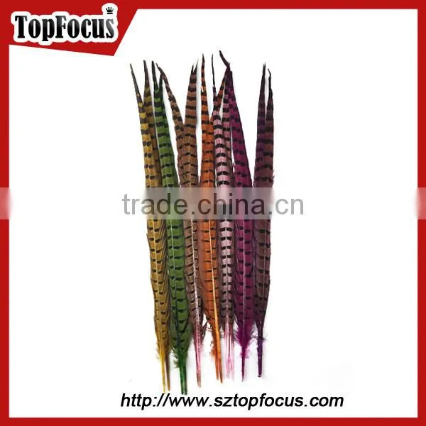 High Quality for Showgirl Carnival Costume ringneck Tail Pheasant Feathers