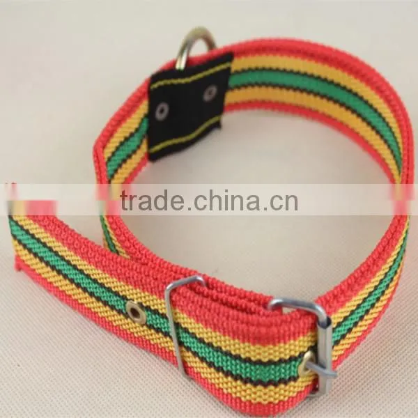 nylon cone collar for dog