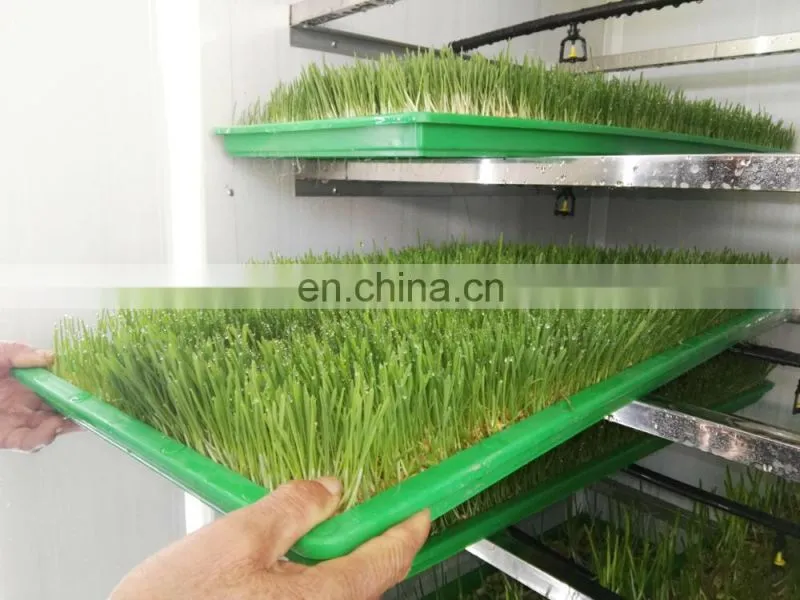 Commercial rabbits fodder making machine / hydroponic culturing barley breeding machine for sale