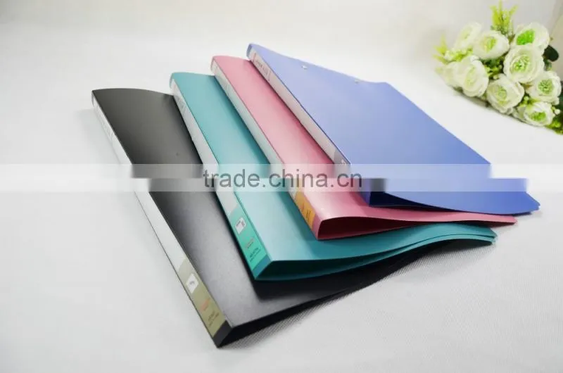 Hard Plastic Single Metal Lever Clip A4 Size Document File Folder