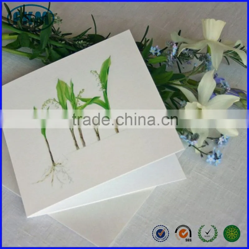 pretty greeting blank card