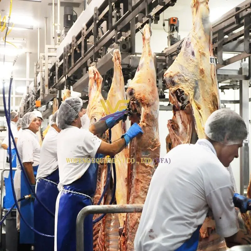 WFA Beef dressing line (5)
