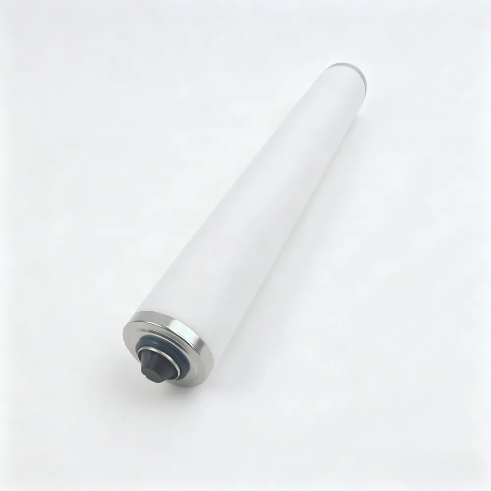 Busch R5 Vacuum Pump Filter Replacement Guide | BTLAS Filtration