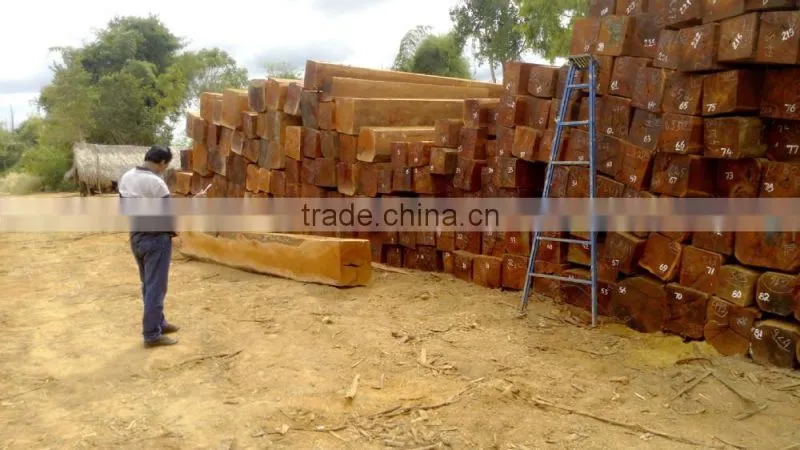 round logs Cam xe Pyinkado Cambodia wood