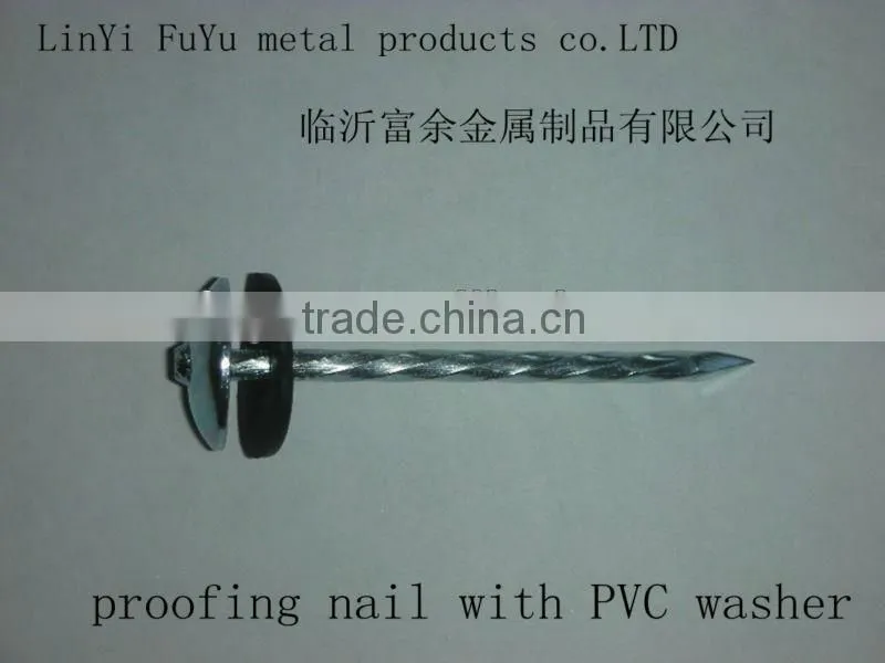roofing screw nail