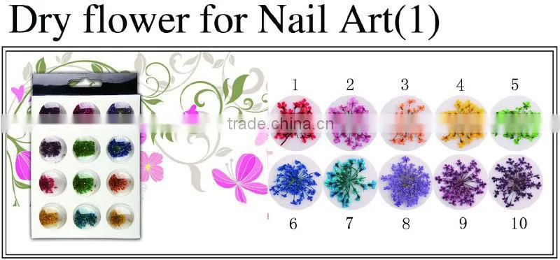 Dry flower for nail art /nail 3D decoration