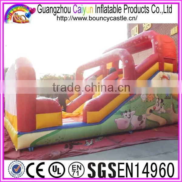 Commercial Grade Inflatable Dry Slide For Rental