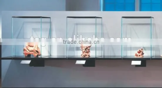 Best Quality Anti-reflective glass for Musume Showcases