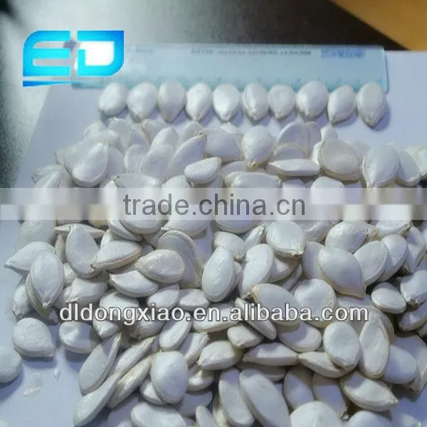 Chinese Shop Online Plant Seeds for Agricultural Snow White Pumpkin Seeds
