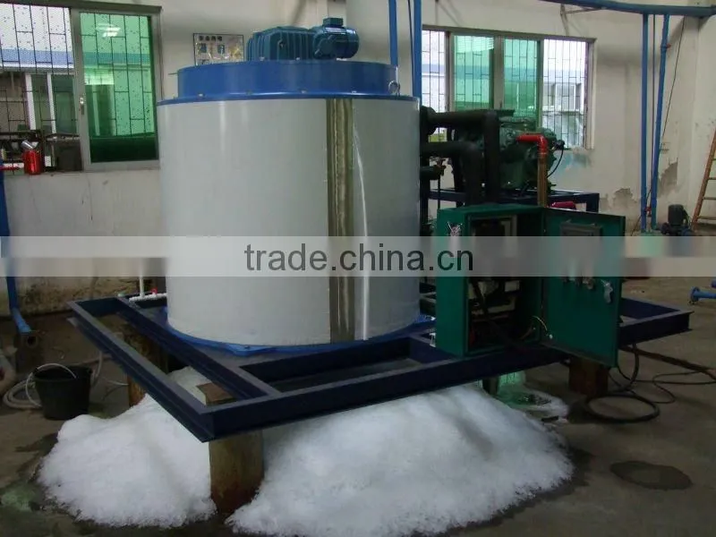French Polynesia snow sea water flake ice maker with refrigeration system