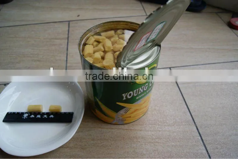 Canned Baby corn Cut In Brine
