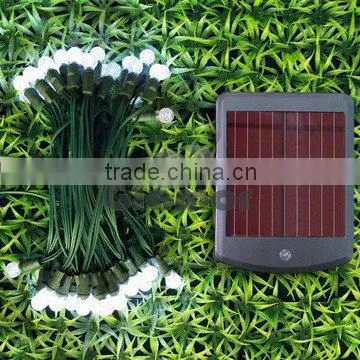 C6 LED Solar string Light