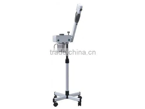 DT-06B face steamer
