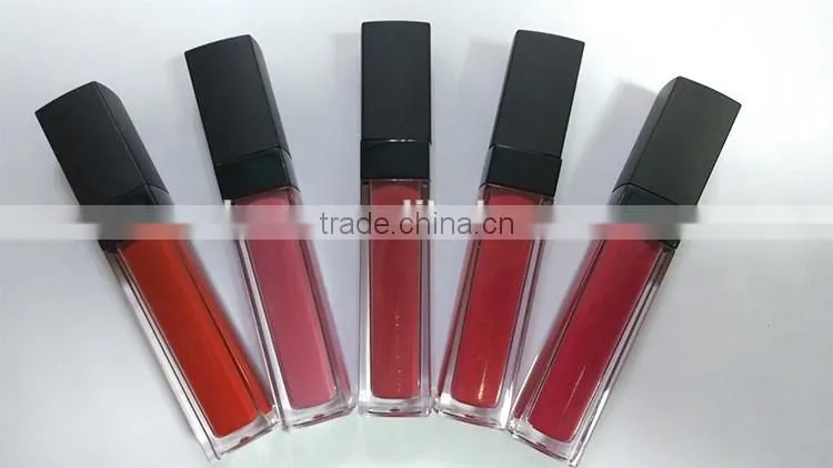 Private label 25 shades waterproof lipstick clours lipgloss with factory price